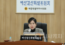 세종시의회 예산위, 시·교육청 2025년도 추경예산안 등 심사 마무리
