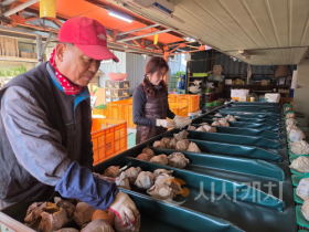 f_(왼쪽)김학용 세종시과수연합회장(농업정책과).png