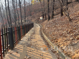 f_2. 새소리․바람소리 따라 걷는 건강한 발걸음1.png