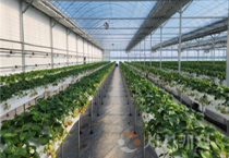 [크기변환]2. 아산시, ‘스마트팜 사관학교’ 청년농업인 입주…본격 가동 (2).png