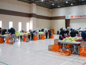 f_20251203_사진자료(충남교육청. 직원들과 김장) (1).png