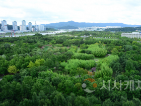 f_1. 대전, 그린청정도시가 된 비결은-도심 속 한밭수목원.png