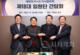 최민호 세종시장 "행정수도 세종, 자치단체 공동노력으로 실현해야"