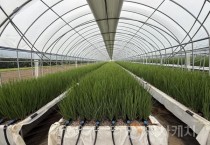 [크기변환]1. [기획] 아산시, ‘50만 자족도시 핵심축’ 농업에서 답 찾다 (5).jpg