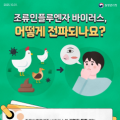 천안시, 조류인플루엔자 인체감염 예방 총력 대응