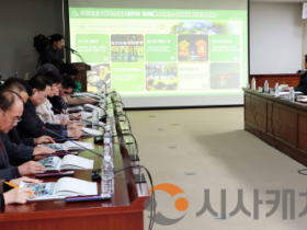 f_1. 2026 대전 0시 축제 청사진 공개 3년의 내공으로 세계를 품는다1.png