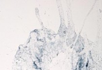 충남창작스튜디오, 김가을 작가 개인 릴레이展 열어