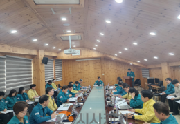 충남도, 소나무재선충병 집중방제기간 내 사업추진 ‘총력’