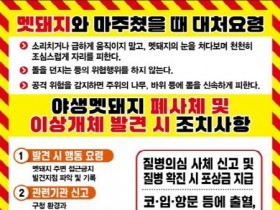 [크기변환]대전 도심 멧돼지 출몰… 시민 행동요령 안내(수시).jpg