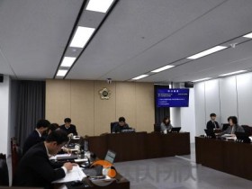 [크기변환]제8회 1차 초광역행정산업위원_2.jpg