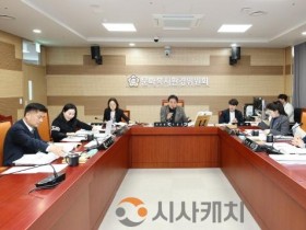 [크기변환]사진_문화복지환경위원회가 제264회 임시회 중 주요업무 계획보고를 하고 있다(2).JPG