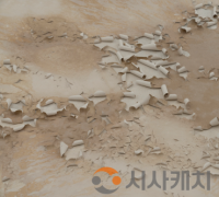 충남창작스튜디오, 이연숙 작가 개인 릴레이展 개최