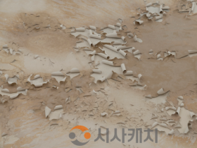 f_붙임 2. 이연숙、 On ne sait jamais_있던 자리, 흙물, 공간 설치, 2026.png