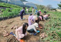 충남교육청, 유치원·어린이집 '마주동행학교' 운영