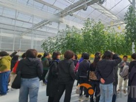[크기변환]3. 아산시 여성농업인연합회, 스마트농업 현장 견학으로 미래농업 이해 높여(2).jpg