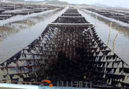 충남도, 탄소 잡는 ‘검은 반도체’ 저감량 밝힌다