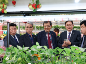 f_0326_딸기특위 현장방문 (1).png