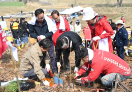 충남도민과 함께 심은 ‘탄소중립’