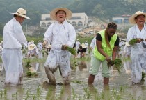 박경귀 아산시장, “손 모내기 체험”…전통 농법 보존·계승 축제로 키울 것