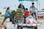 박경귀 아산시장, “모내기 시연…농업 소득향상에 노력할 것”