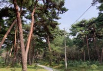 충남도, 내화수림대 조성지 “전국 우수기관” 선정