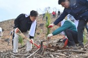 충남도, 식목일 기념 희망의 나무 심기…대형 산불 이후 첫 산림 복구