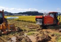 충남도, 벼 직파재배 기술 성과 도민과 공유