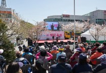 박경귀 시장, “아산온천 벚꽃축제” 10년, 20년 지속 축제로 키우겠다