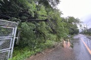 세종 평균 강수 68.15㎜…인명피해 업어