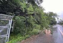 세종 평균 강수 68.15㎜…인명피해 업어