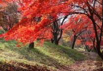 금강수목원, 가을빛 절정